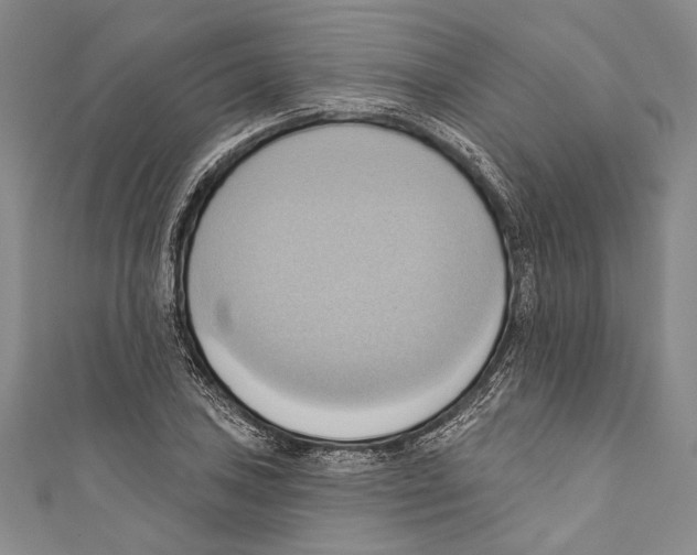 X0000110681027200907101123