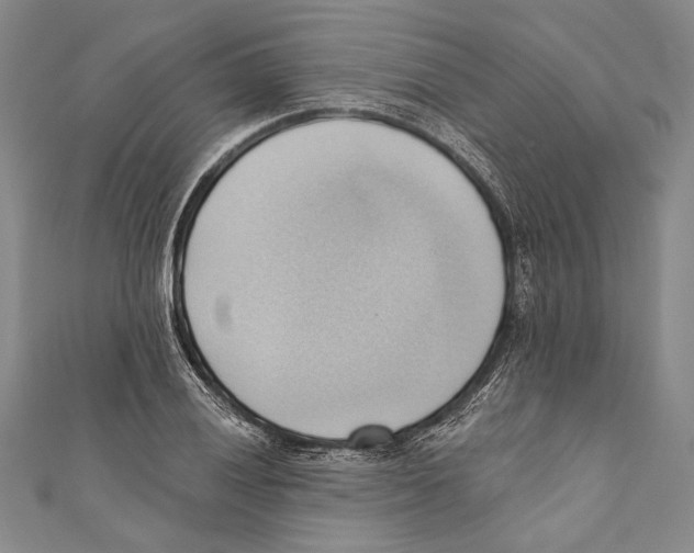 X0000110681028200907101123