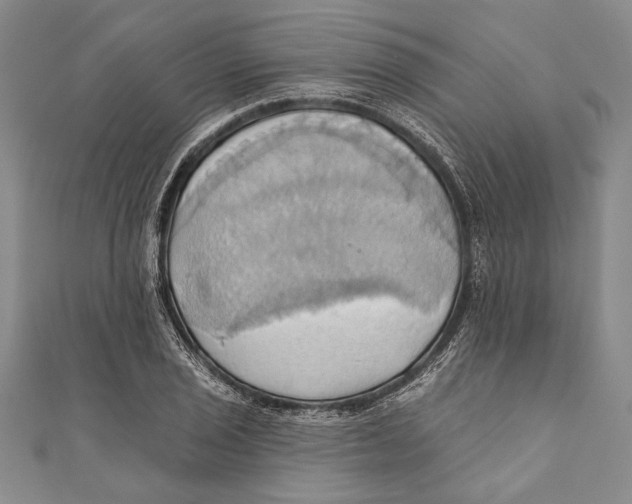 X0000110681029200907101123