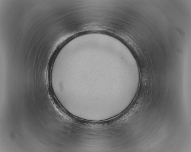 X0000110681030200907101123