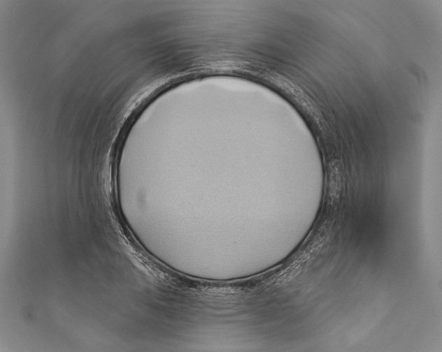 X0000110681031200907101123