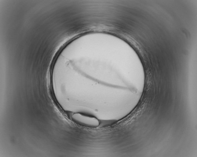 X0000110681032200907101123