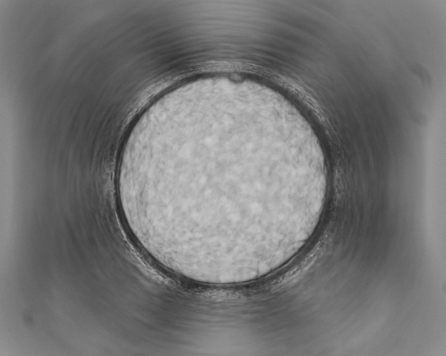 X0000110681033200907101123