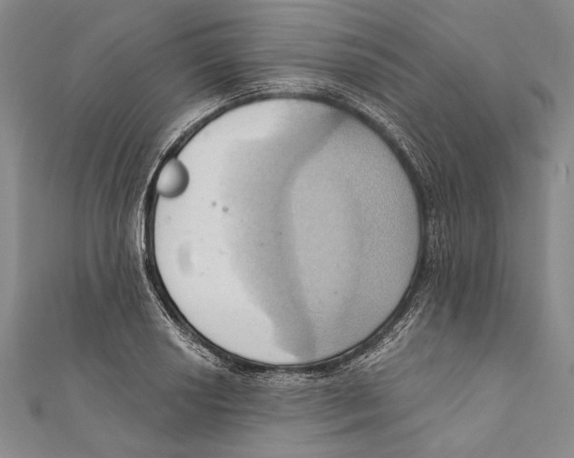 X0000110681034200907101123