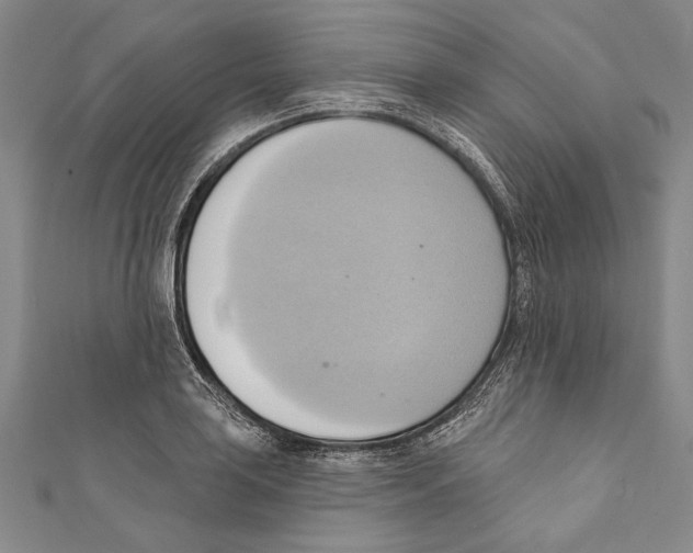 X0000110681035200907101123