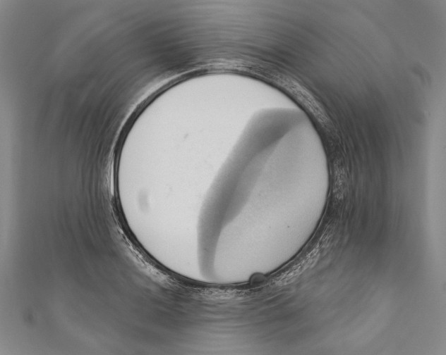 X0000110681036200907101123