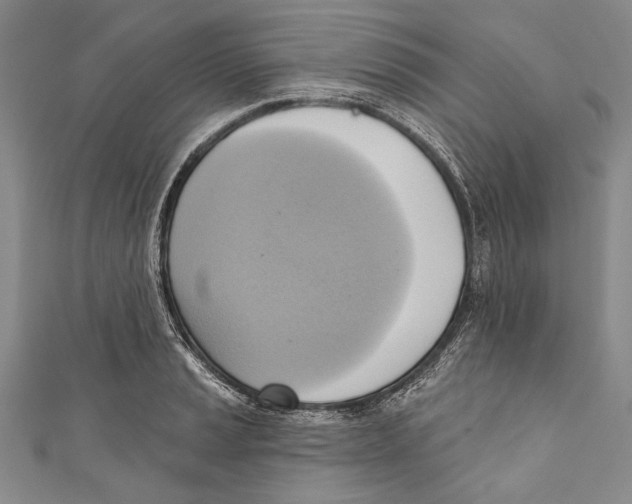 X0000110681037200907101123