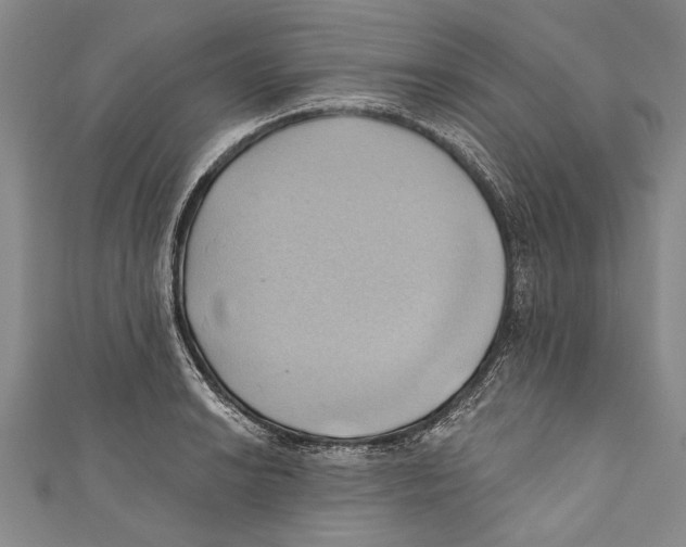 X0000110681038200907101123