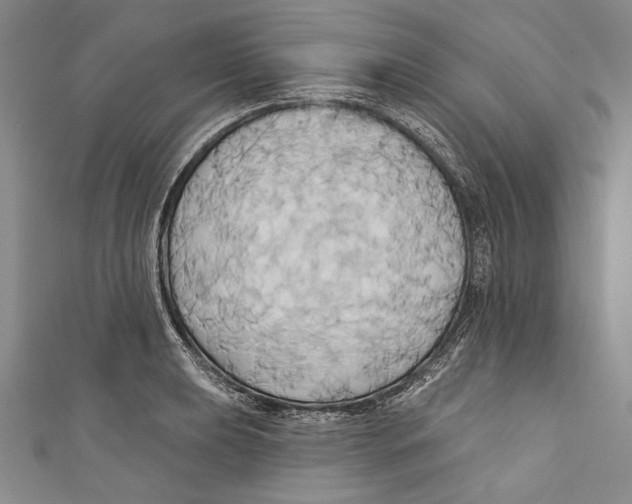 X0000110681039200907101123
