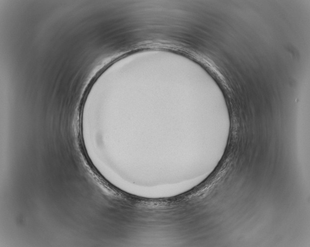 X0000110681040200907101123