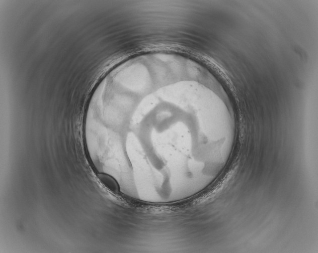 X0000110681041200907101123