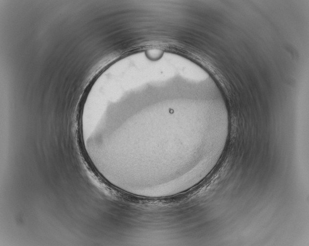 X0000110681042200907101123