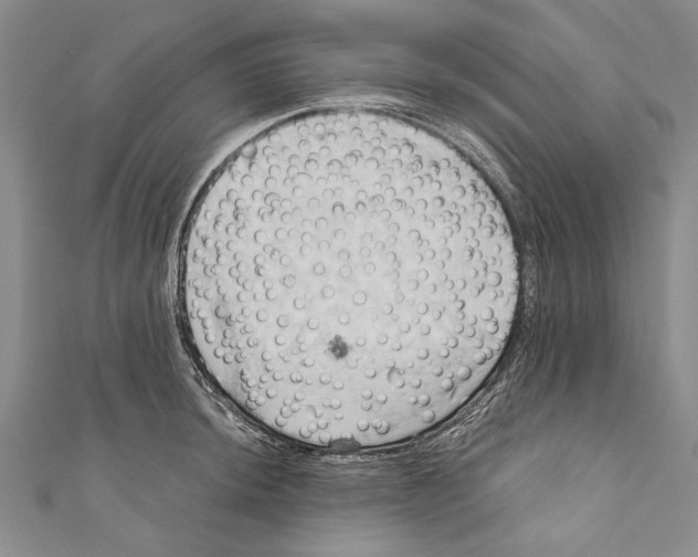X0000110681044200907101123