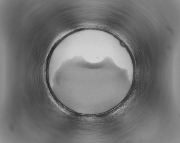 X0000110681045200907101123