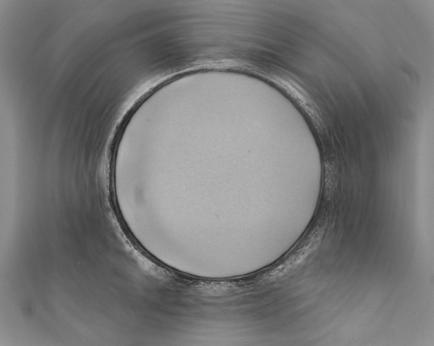 X0000110681046200907101123