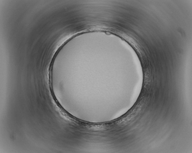X0000110681047200907101123