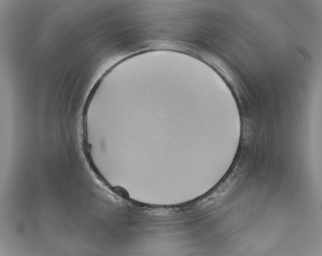 X0000110681048200907101123