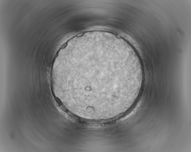 X0000110681049200907101123