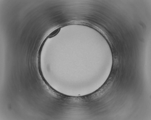 X0000110681050200907101123