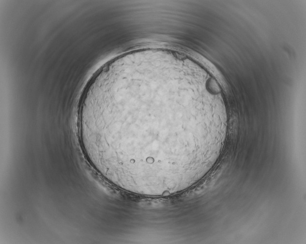 X0000110681051200907101123
