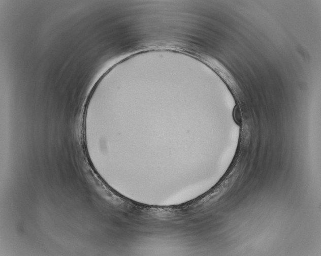 X0000110681052200907101123