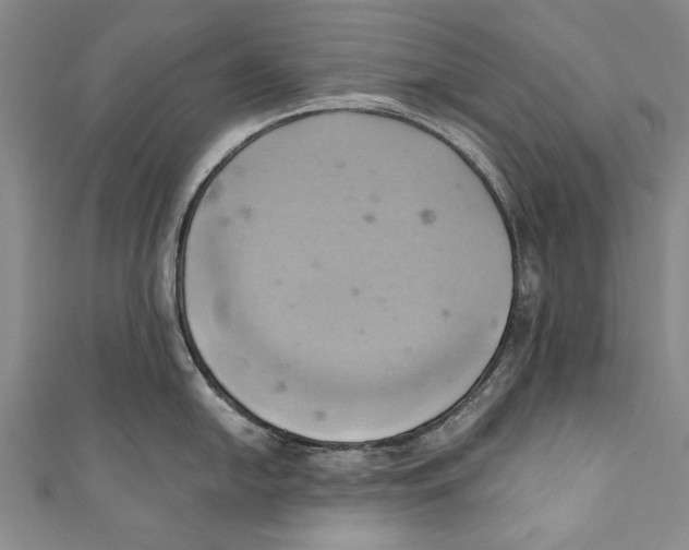 X0000110681054200907101123