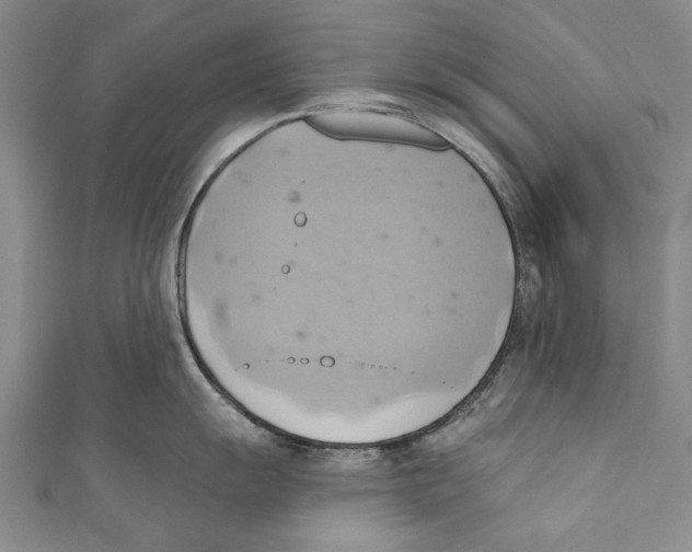 X0000110681055200907101123