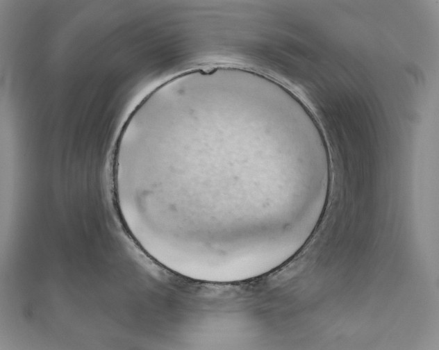 X0000110681056200907101123