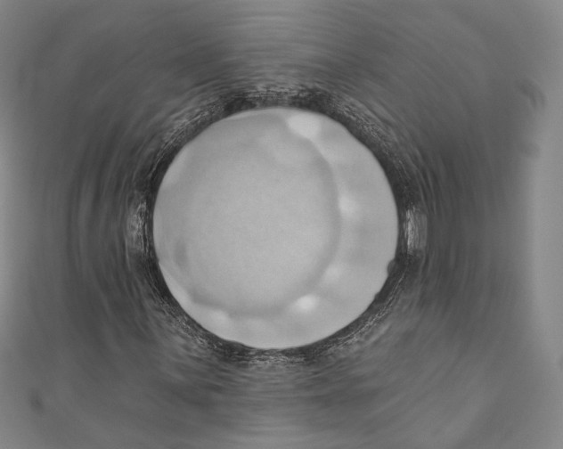 X0000110681059200907101123