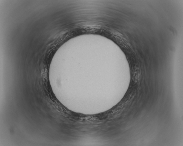 X0000110681061200907101123