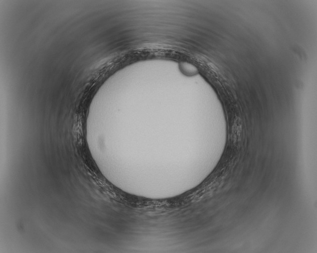 X0000110681062200907101123