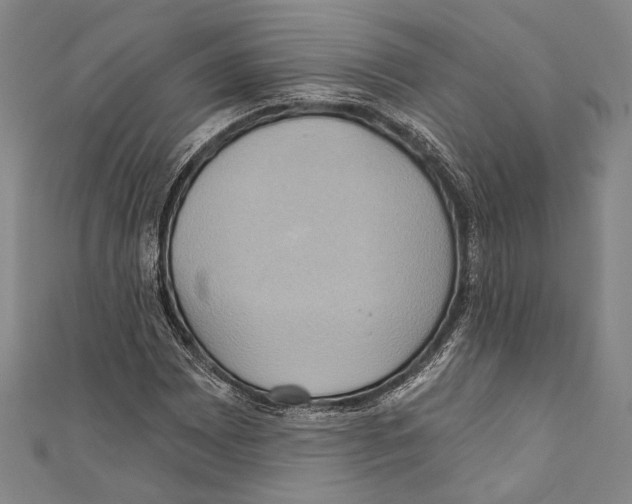 X0000110681065200907101123
