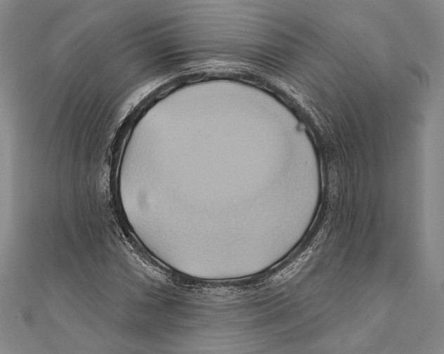 X0000110681066200907101123
