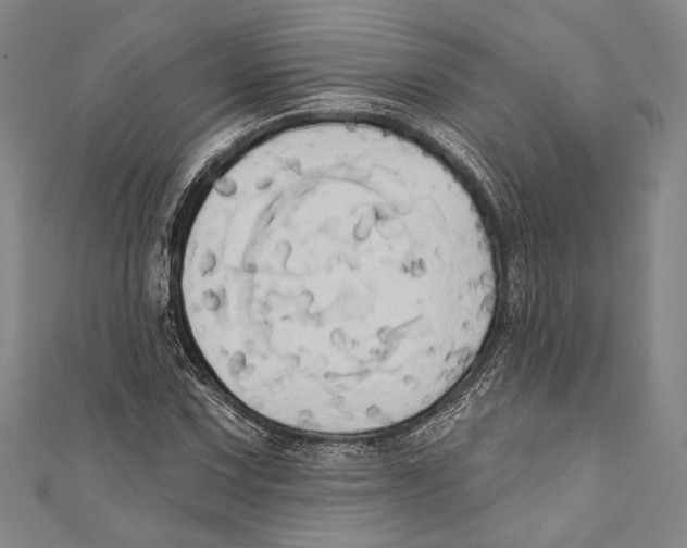 X0000110681067200907101123