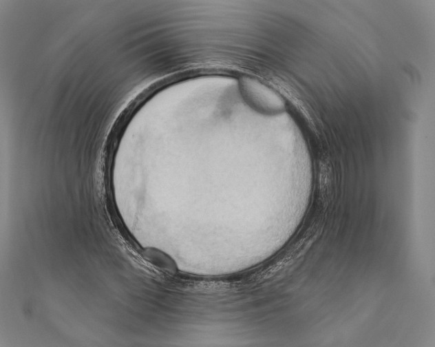 X0000110681068200907101122
