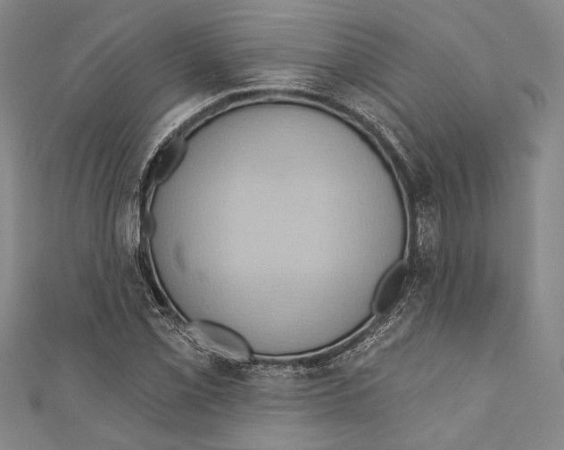 X0000110681069200907101122