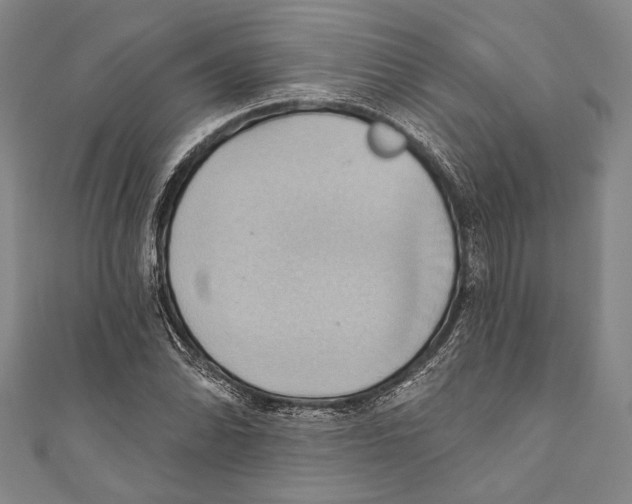 X0000110681070200907101122