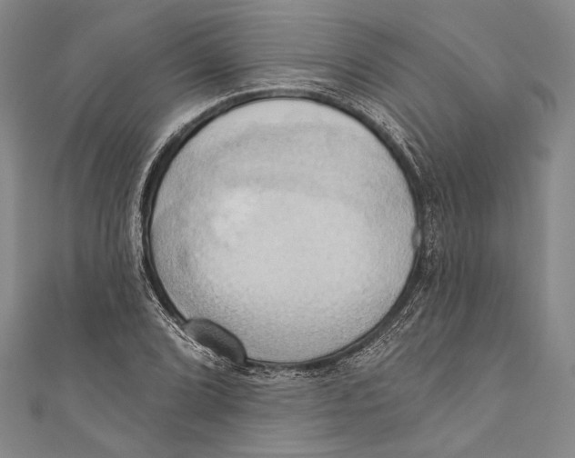 X0000110681072200907101122
