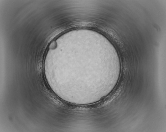 X0000110681073200907101122