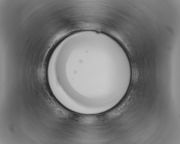 X0000110681074200907101122
