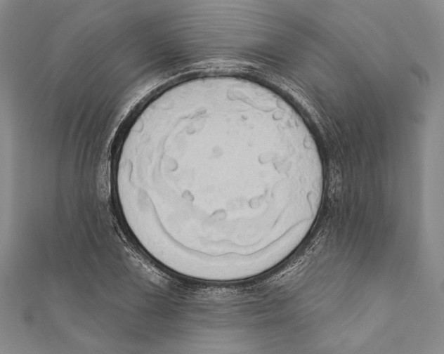 X0000110681075200907101122