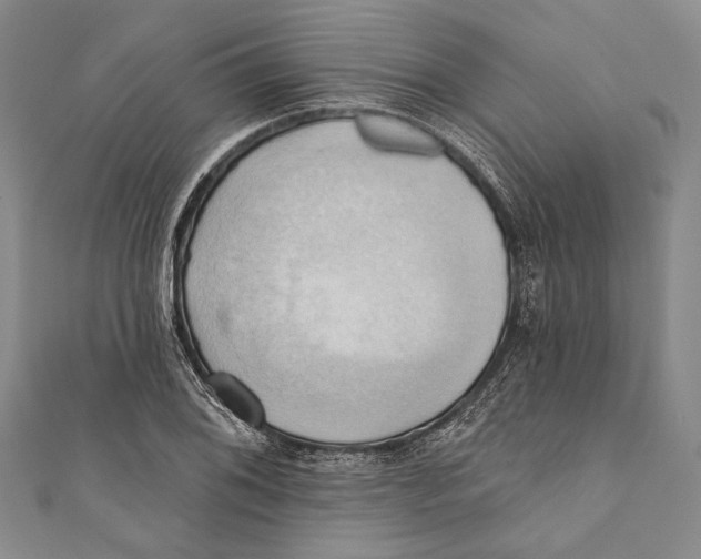 X0000110681076200907101122