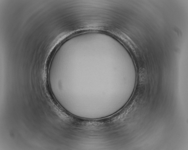 X0000110681077200907101122
