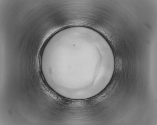 X0000110681078200907101122