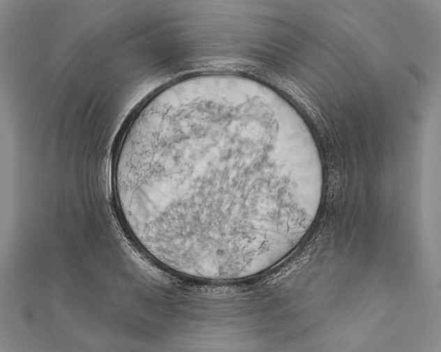 X0000110681079200907101122