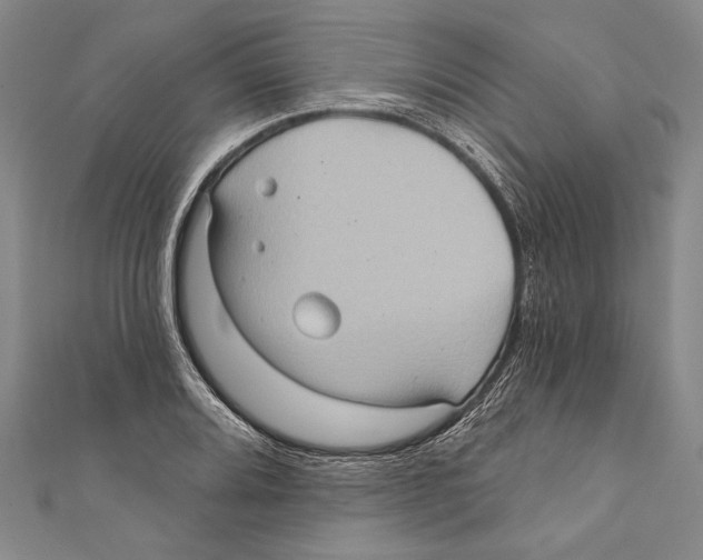 X0000110681080200907101122