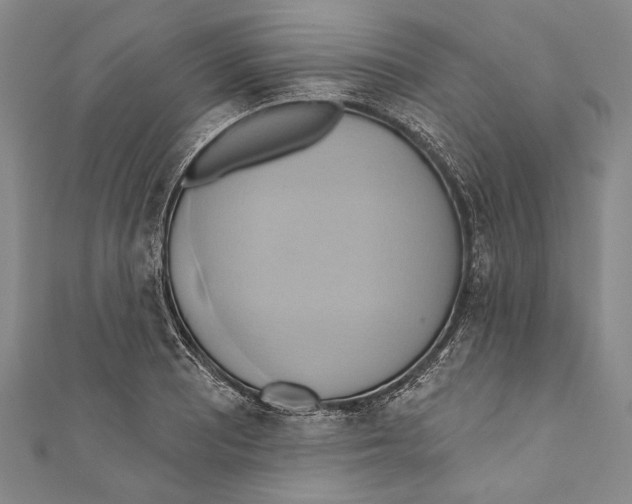 X0000110681081200907101122