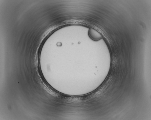 X0000110681082200907101122