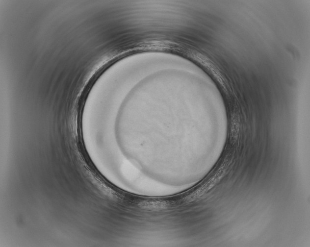 X0000110681083200907101122