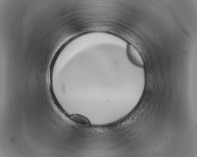 X0000110681084200907101122